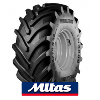 620/70R26 Trelleborg TM3000 173 A8 Чехія Сільськогосподарська шина